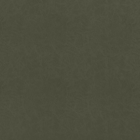 Cordoba Olive Fabric - W9005 - Thibaut Fabric