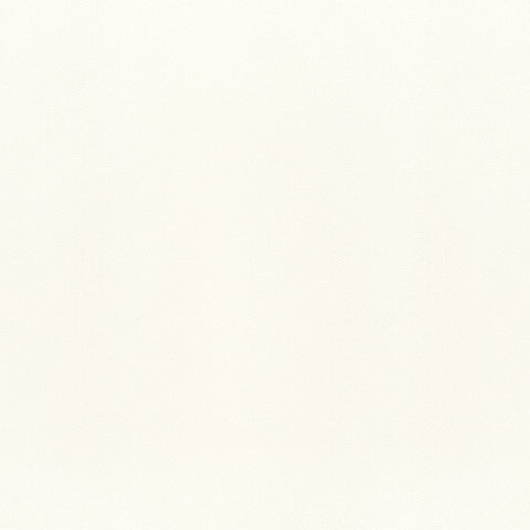 Salta Ivory Fabric - W9013 - Thibaut Fabric
