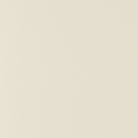 Salta Putty Fabric - W9015 - Thibaut Fabric