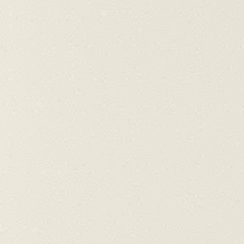 Salta Bone Fabric - W9017 - Thibaut Fabric