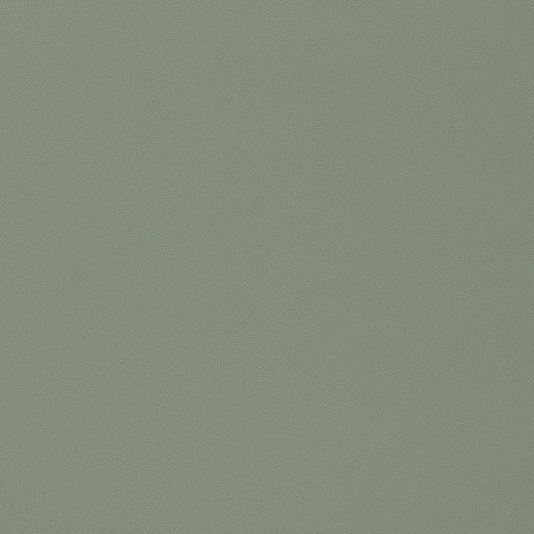 Salta Jade Fabric - W9025 - Thibaut Fabric