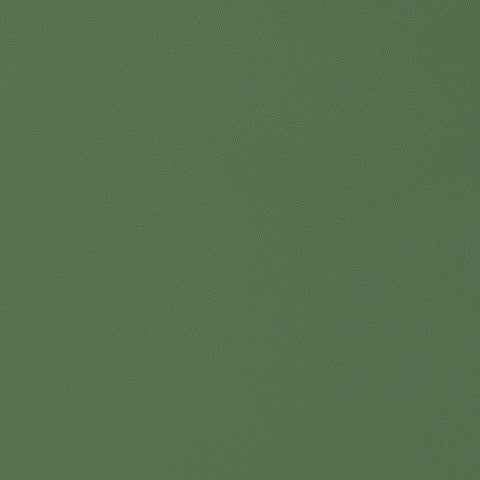 Salta Kelly Fabric - W9027 - Thibaut Fabric