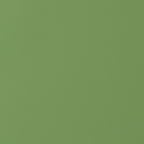 Salta Kiwi Fabric - W9028 - Thibaut Fabric