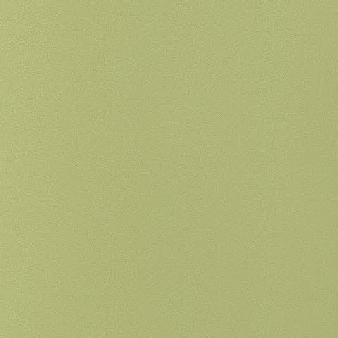 Salta Apple Fabric - W9029 - Thibaut Fabric