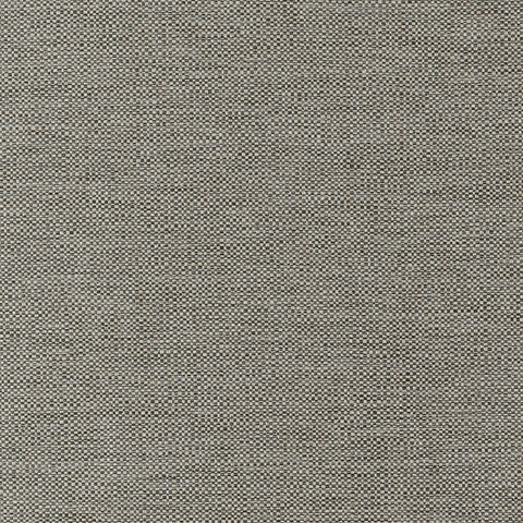 Kaden Ebony Fabric - W9121 - Thibaut Fabric