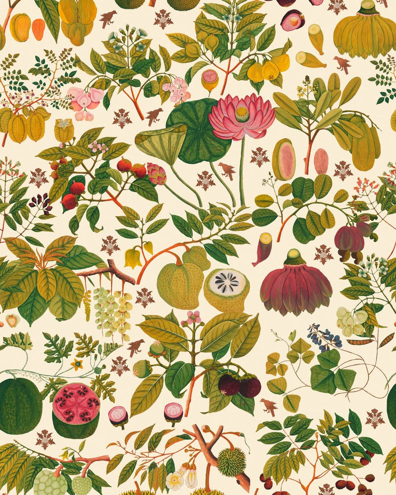 Mind The Gap - ASIAN FRUITS AND FLOWERS Wallpaper - WP20315