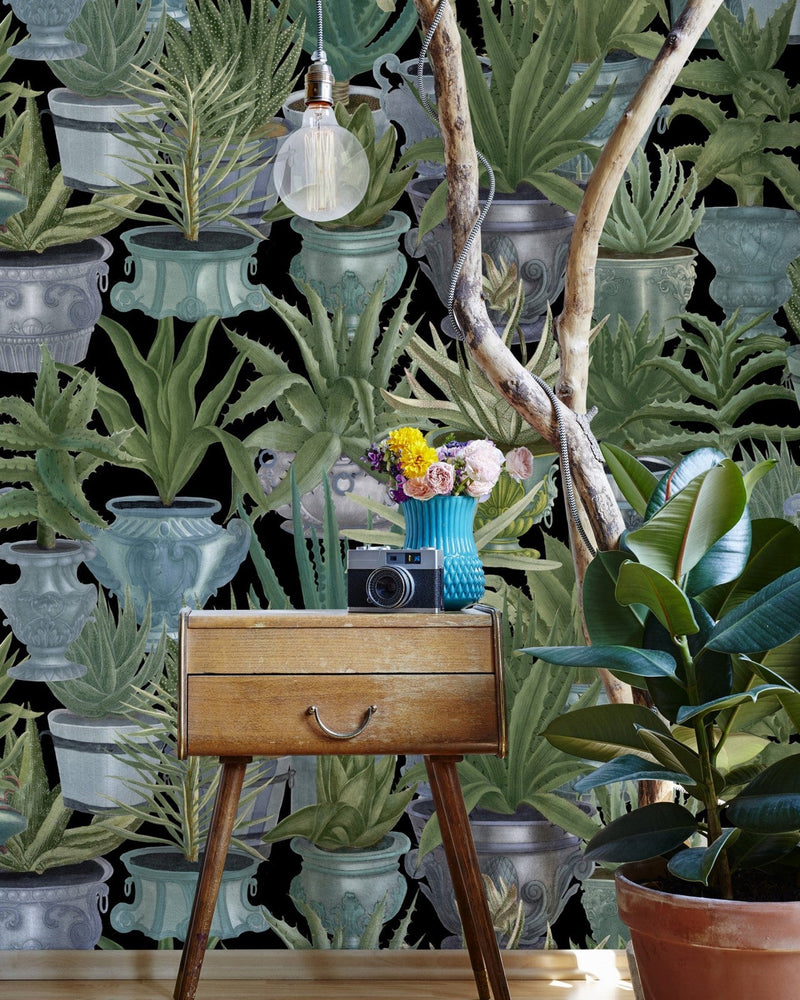 Mind The Gap - ECHEVERIA - WP20163