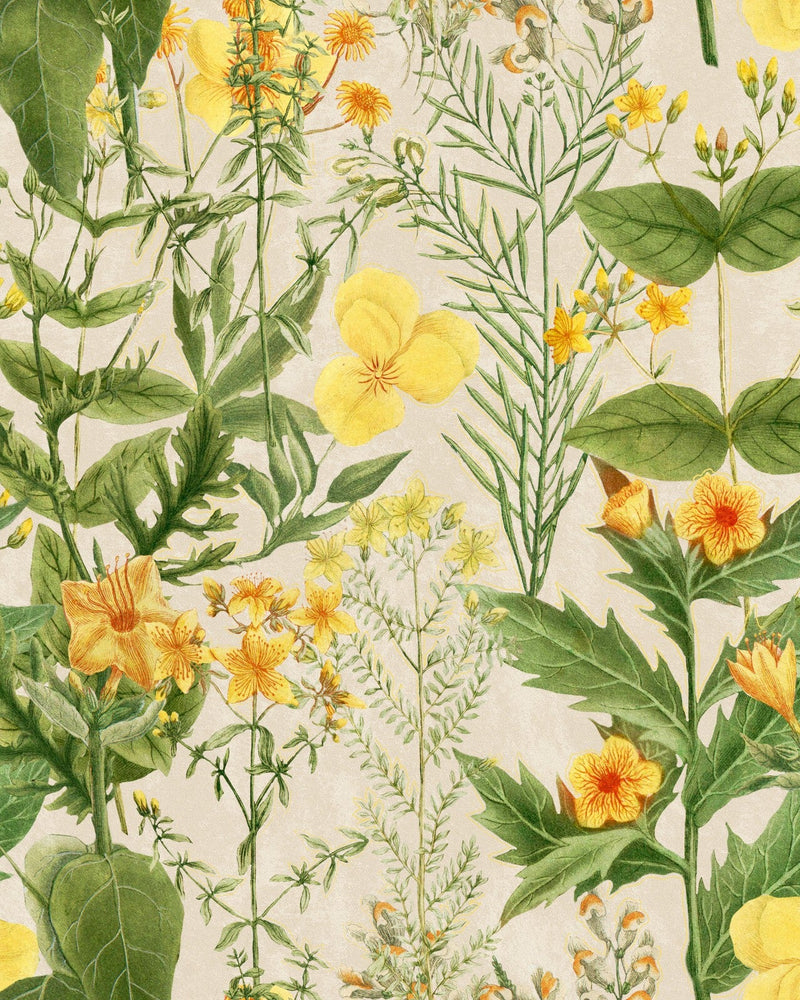 Mind The Gap - MIMULUS Wallpaper - WP20323