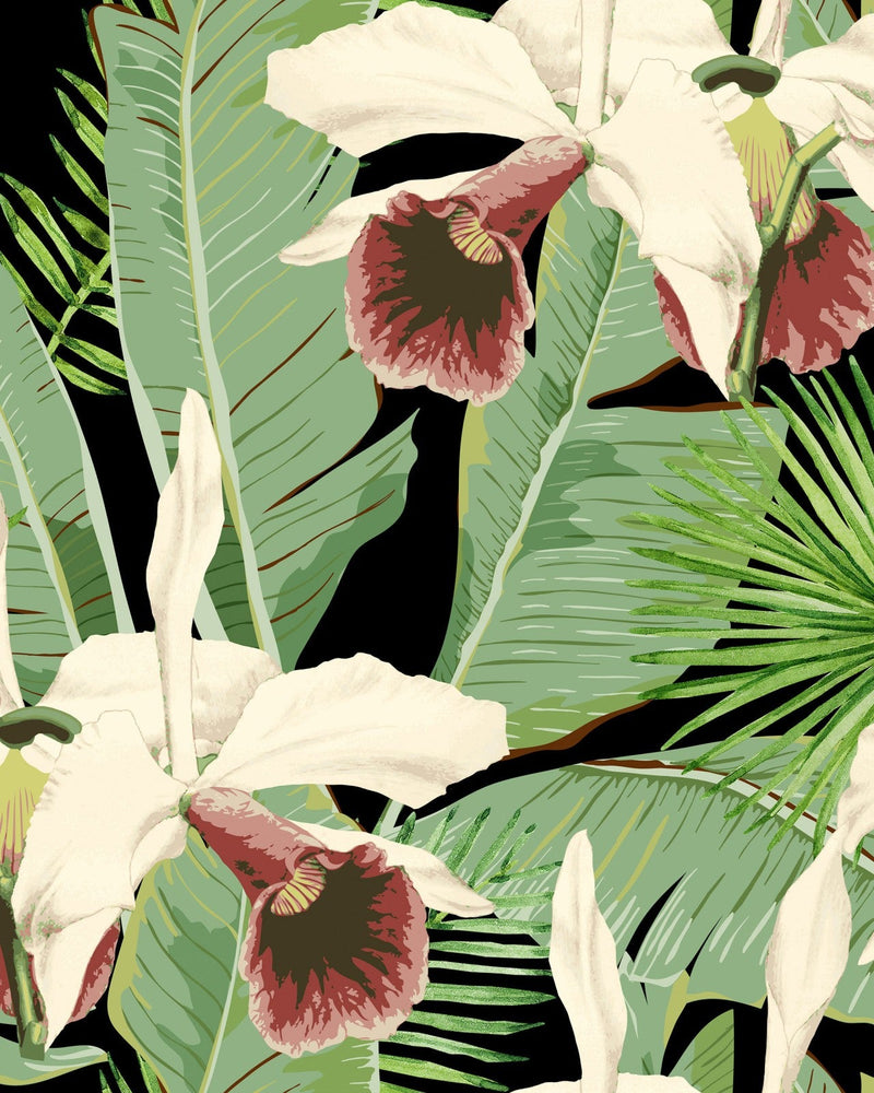 Mind The Gap - TREASURE ISLAND Anthracite Wallpaper - WP20364