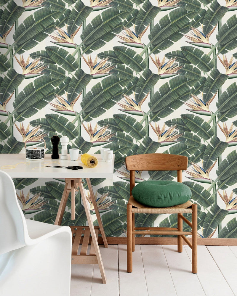 Mind The Gap - TROPICAL BLOOM Premium Wallpaper - WP20096