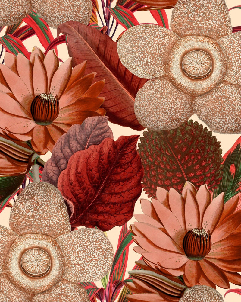 Mind The Gap - WATER LILIES Taupe Wallpaper - WP20317