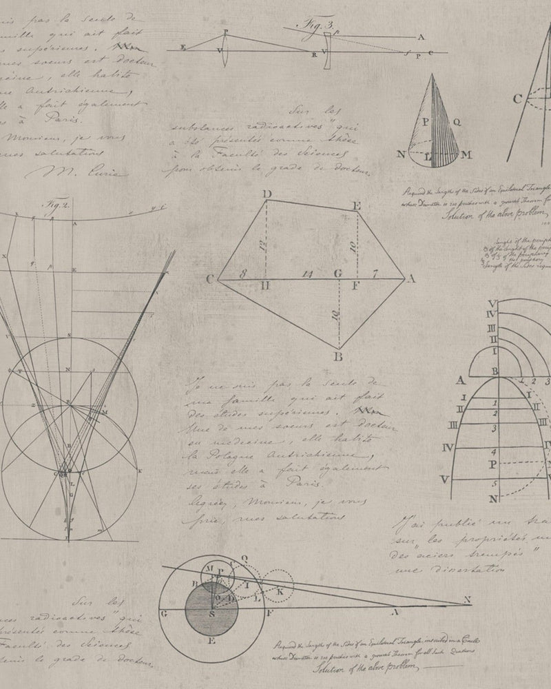 Mind The Gap - NEWTON GEOMETRY Taupe Premium Wallpaper - WP20047