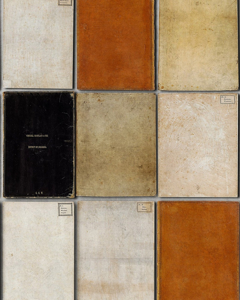 Mind The Gap - BOOK COVERS Premium Wallpaper - WP20093