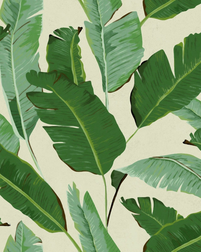 Mind The Gap - BANANA LEAVES  Wallpaper - WP20111