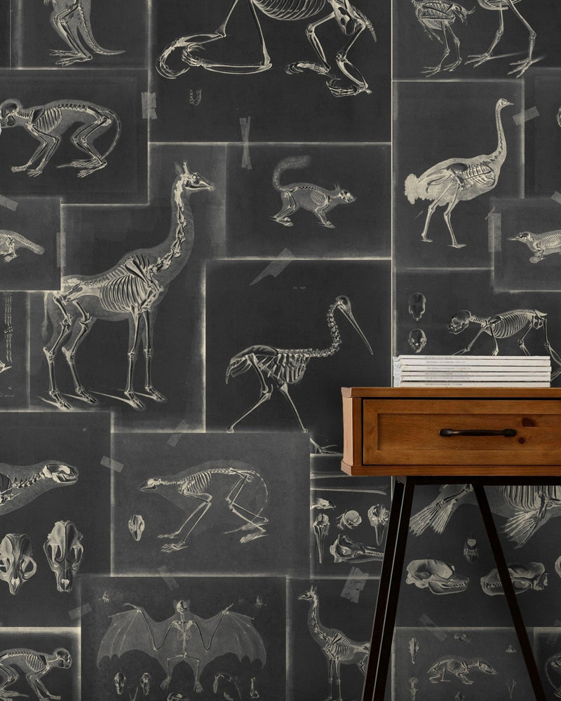 Mind The Gap - ZOOARCHAEOLOGY Anthracite Wallpaper - WP20237