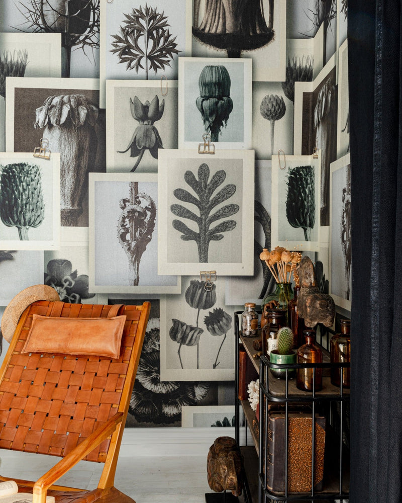 Mind The Gap - BLOSSFELDT'S ART FORMS Wallpaper - WP20595