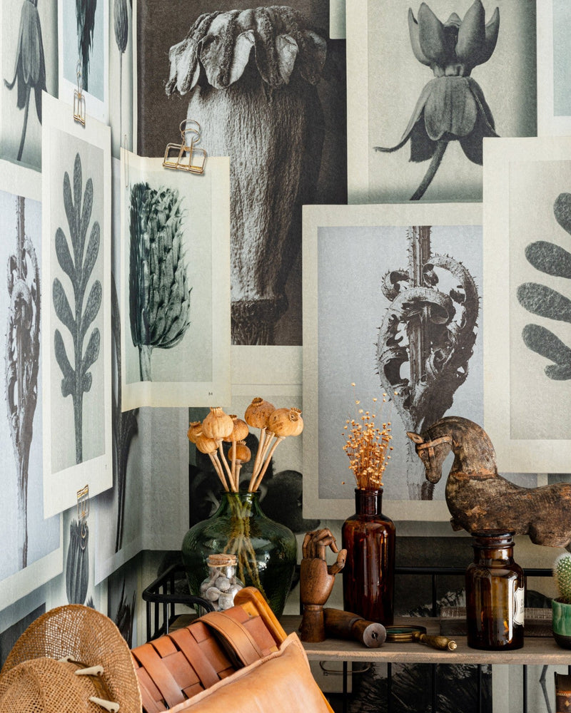 Mind The Gap - BLOSSFELDT'S ART FORMS Wallpaper - WP20595