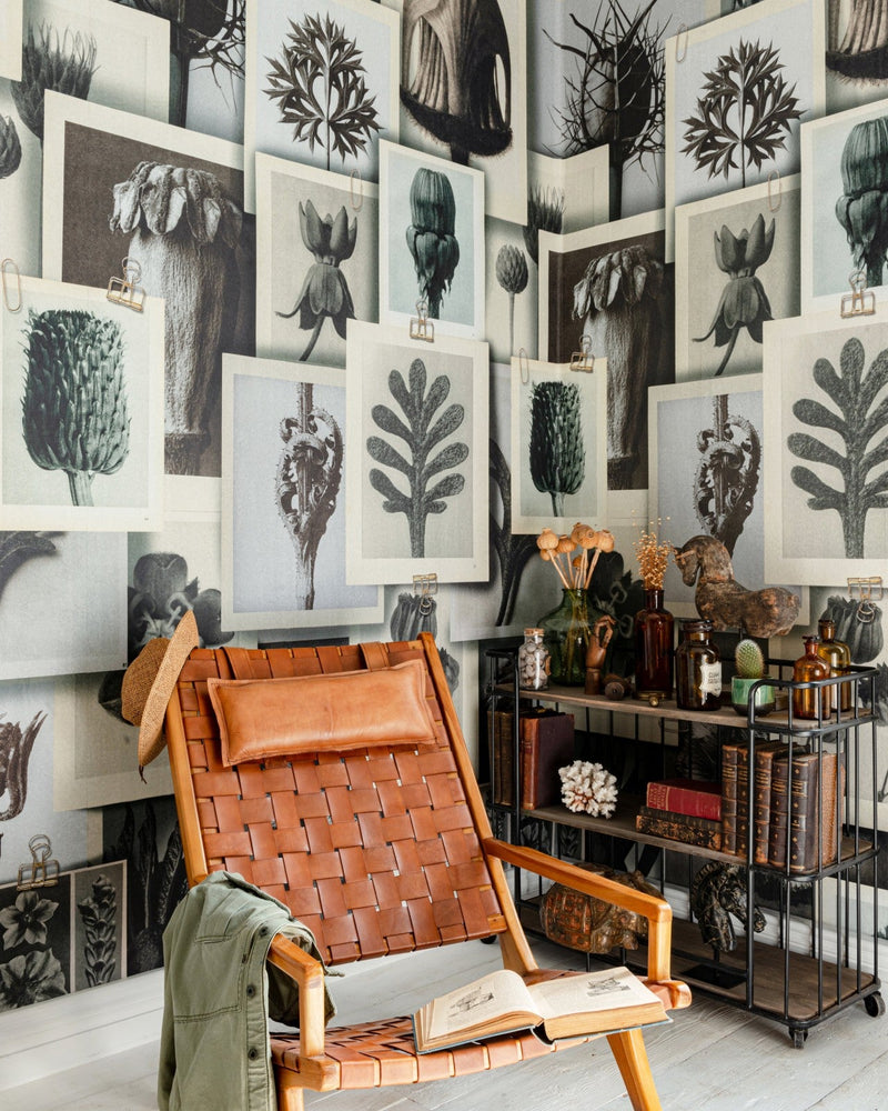 Mind The Gap - BLOSSFELDT'S ART FORMS Wallpaper - WP20595