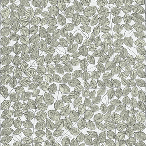 Schumacher - Romans - Leaf - 1769 - Wallpaper