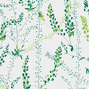 Schumacher - Bladranker - Leaf - 1787 - Wallpaper