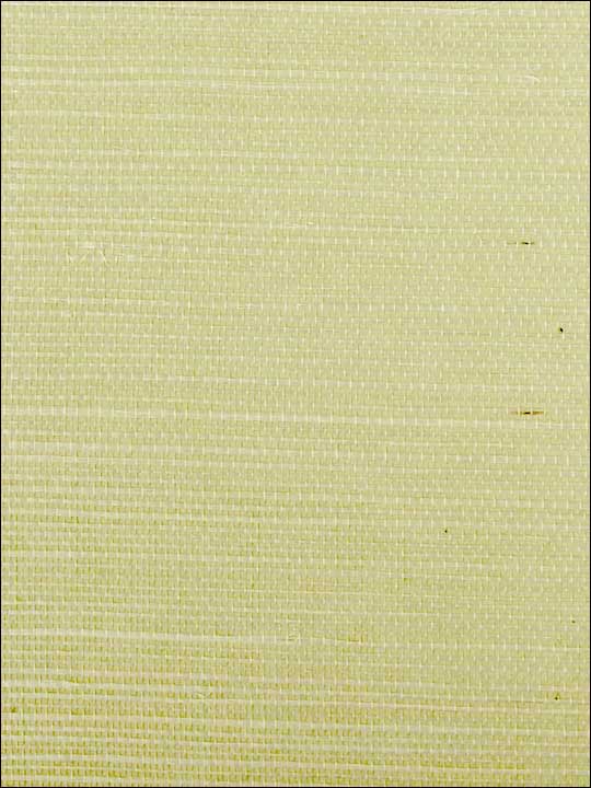 Scalamandre SC0017G1193 Sisal Spring Wallpaper