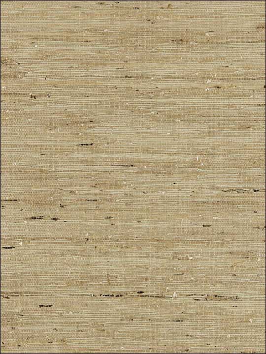Scalamandre SC0005WP88344 Arrowroot Weave Sage Wallpaper