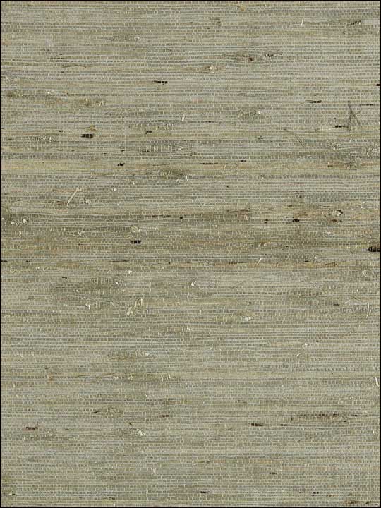 Scalamandre SC0004WP88344 Arrowroot Weave Water Wallpaper