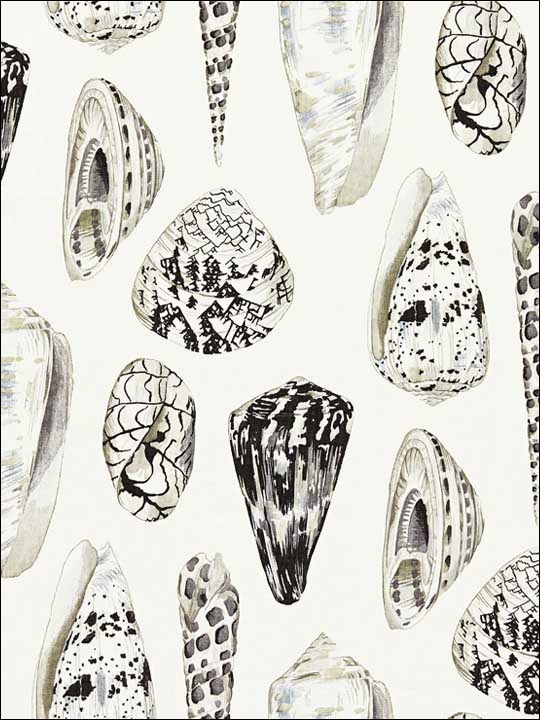 Scalamandre SC0006WP88365 Coquina Graphite Wallpaper