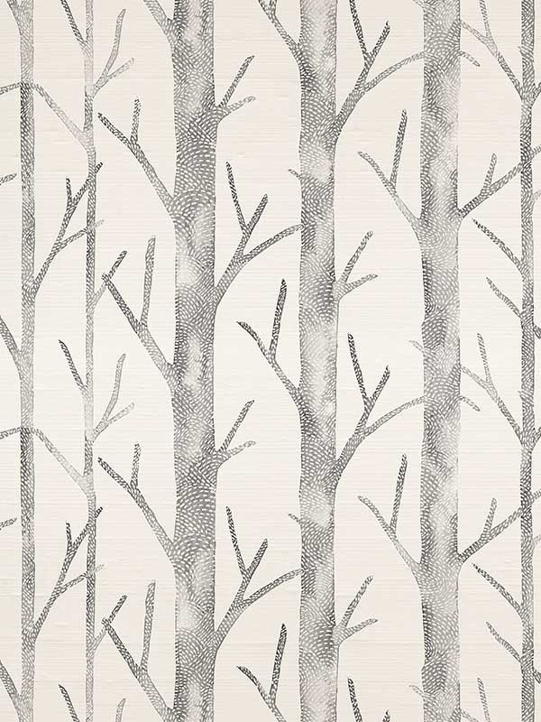 Scalamandre SC0001WP88444 Everett Silk Shadow Wallpaper