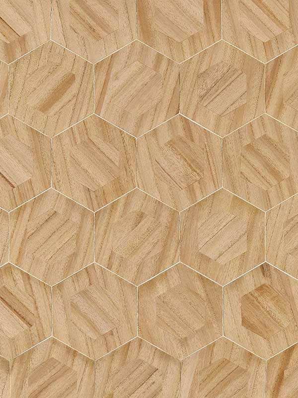 Scalamandre SC0001WP88476 Hexad Balsa Wallpaper