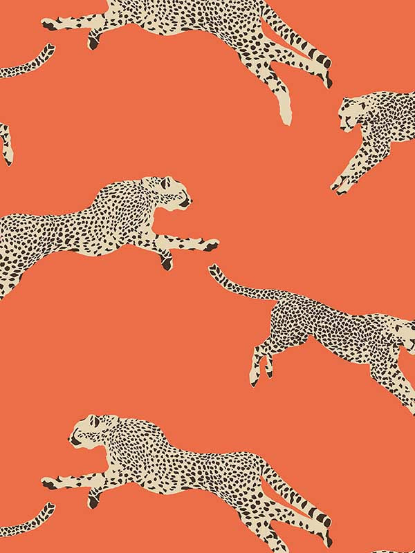 Scalamandre SC0002WP88449 Leaping Cheetah Clementine Wallpaper