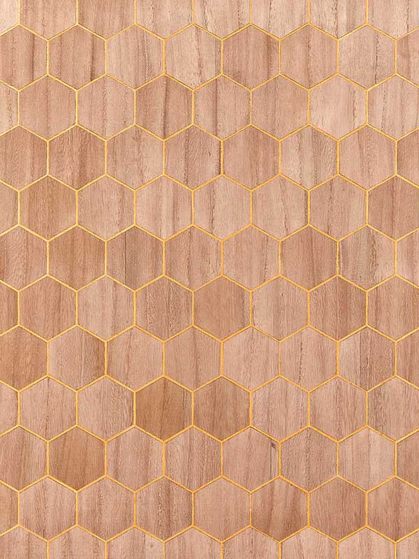 Scalamandre SC0002WP88477 Andante Chestnut Wallpaper