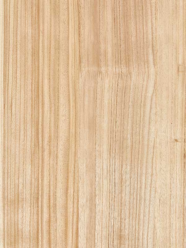 Scalamandre SC0002WP88478 Woodgrain Oak Wallpaper