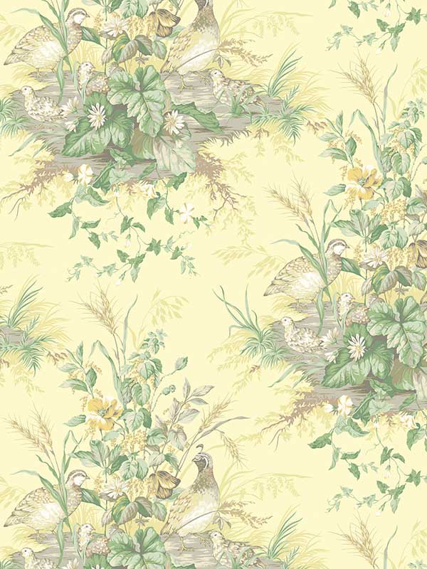 Scalamandre SC0003WP88434 Edwins Covey Sunlit Wallpaper