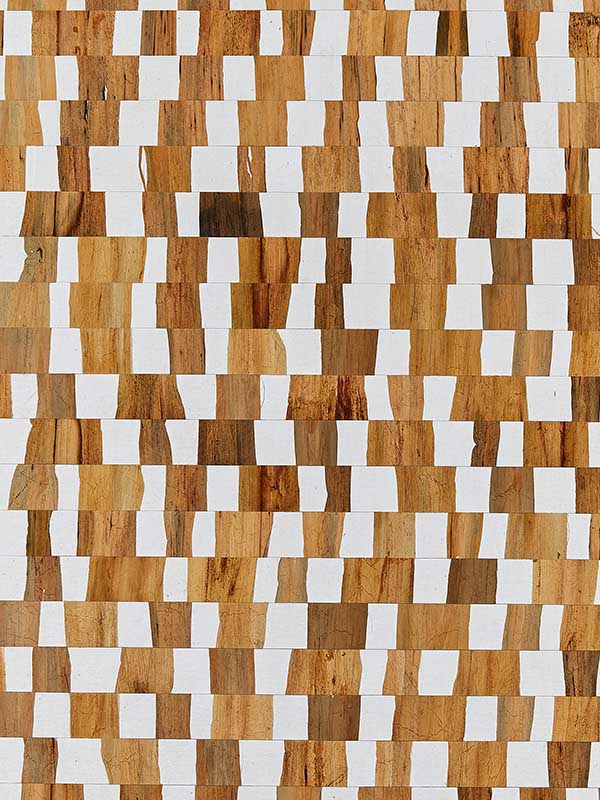 Scalamandre SC0003WP88481 Capriccio Coin Wallpaper