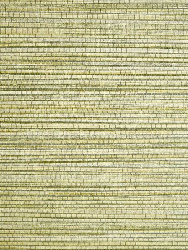 Scalamandre SC0004WP88441 Willow Weave Grass Wallpaper