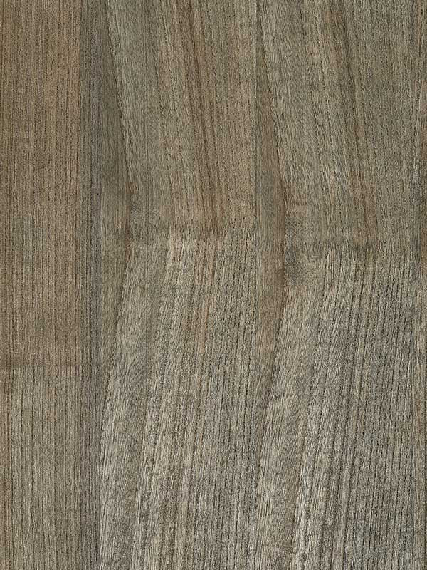 Scalamandre SC0004WP88478 Woodgrain Shark Wallpaper