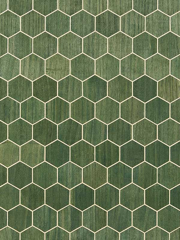 Scalamandre SC0005WP88477 Andante Aloe Wallpaper