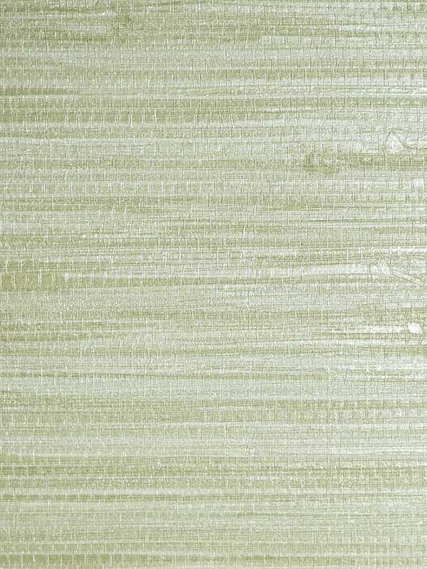 Scalamandre SC0014WP88438 Pampas Seagrass Wallpaper