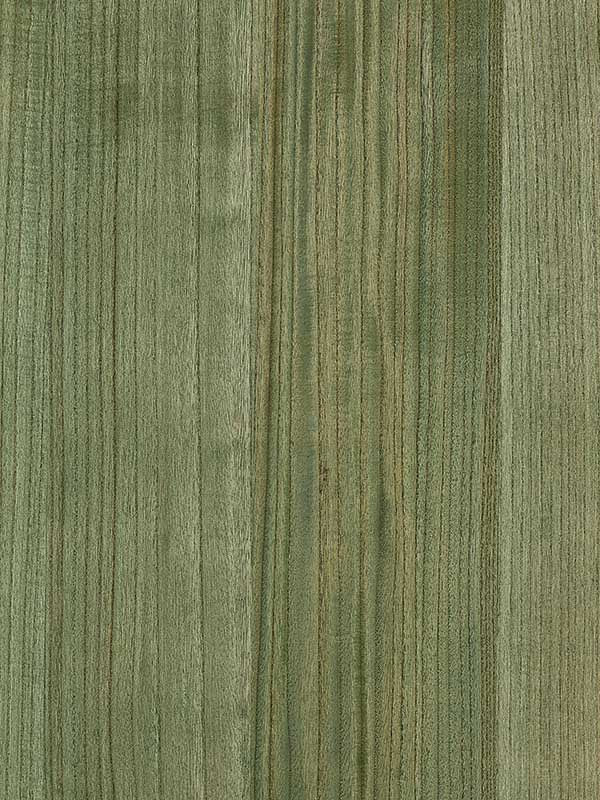 Scalamandre SC0014WP88478 Woodgrain Pear Wallpaper