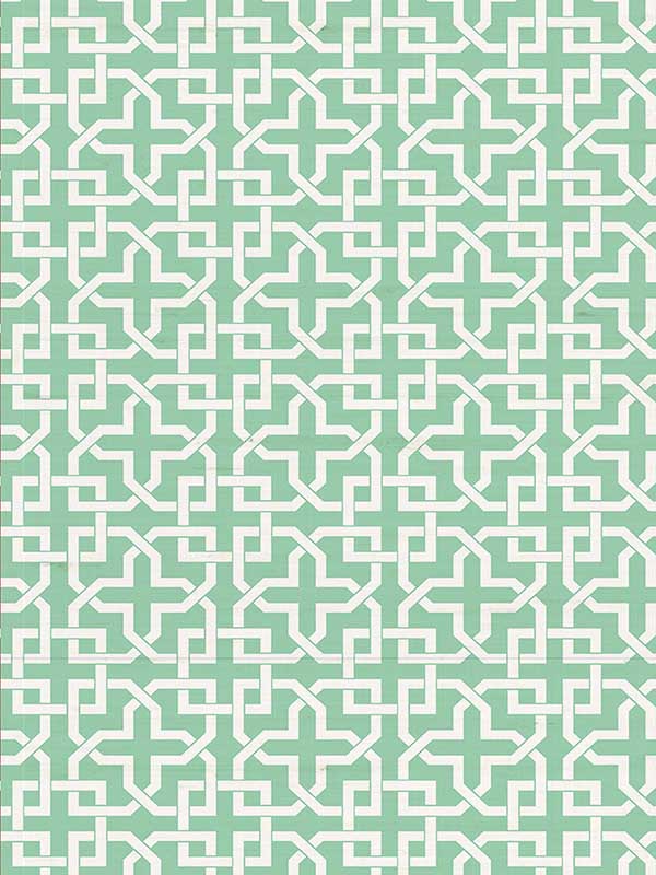 Scalamandre WNM0003INFI Infinity Life Wallpaper