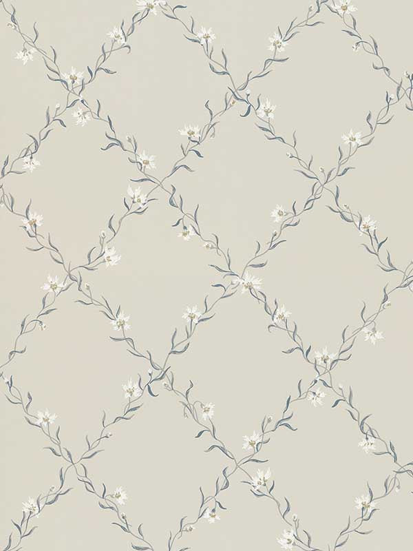 Scalamandre WSB00210806 Ewa Grey Wallpaper