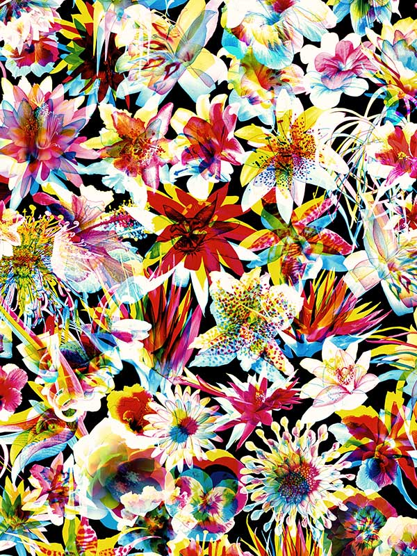 Scalamandre WH000013339 Grenada Multico Wallpaper