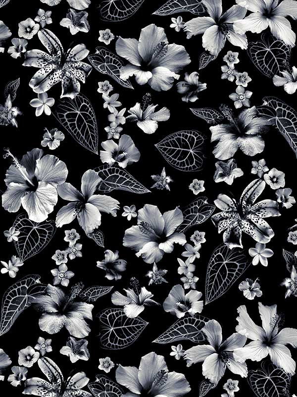 Scalamandre WH000013340 Cariacou Noir Wallpaper