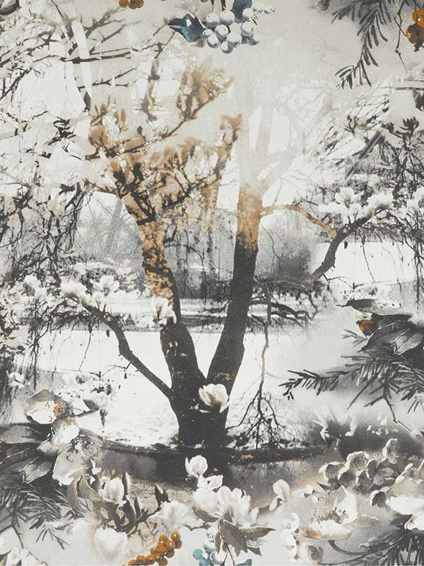 Scalamandre WH000023307 Brume Terre Wallpaper