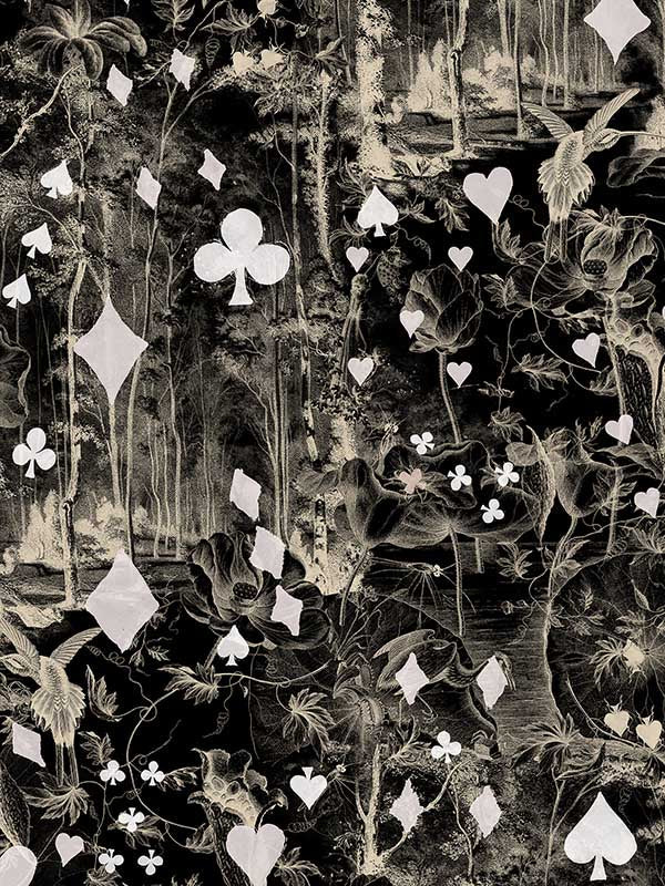 Scalamandre WH000043333 Beriba Noir Wallpaper