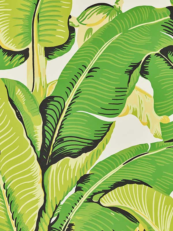 Scalamandre WHN000144000M Hinson Palm Mojito Wallpaper