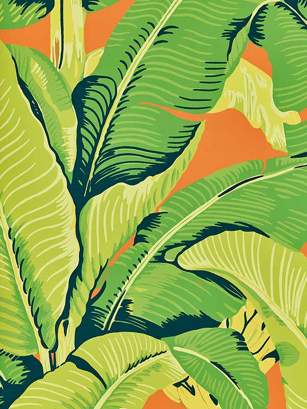 Scalamandre WHN000244000M Hinson Palm Aperol Spritz Wallpaper
