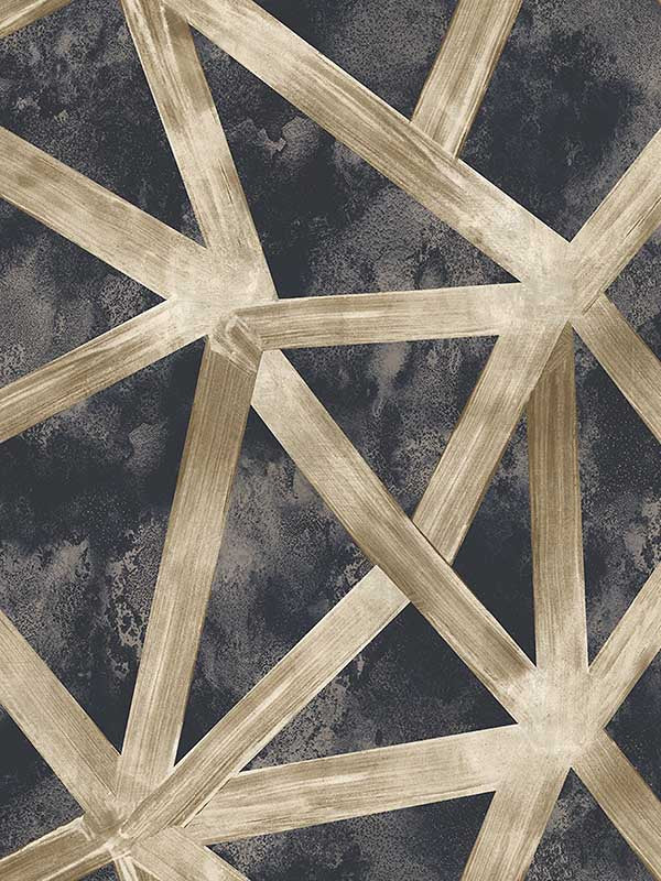 Scalamandre WMAST000914 Interstellar Noir Wallpaper