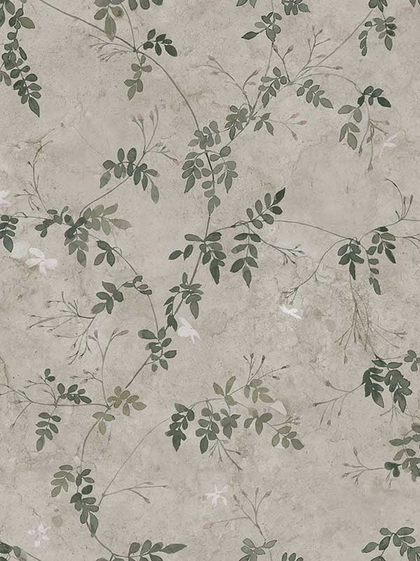 Scalamandre WSB001210111 Irene Olive Green Wallpaper